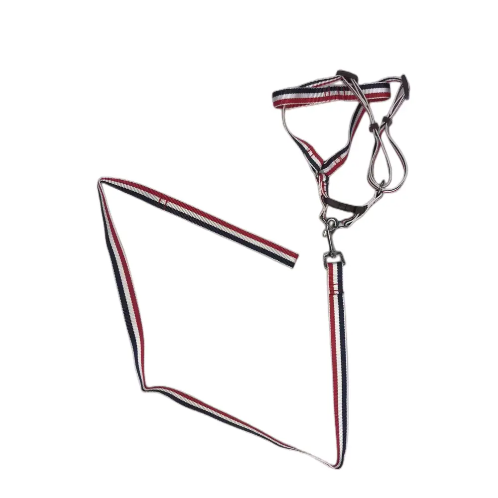 YES4PETS 2 X Large Pet Dog Harness Collar leash lead - Pet Care > Dog Supplies > Dog Collars Leads & Harnesses