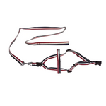 YES4PETS 2 X Large Pet Dog Harness Collar leash lead - Pet Care > Dog Supplies > Dog Collars Leads & Harnesses
