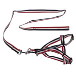 YES4PETS 2 X Large Pet Dog Harness Collar leash lead - Pet Care > Dog Supplies > Dog Collars Leads & Harnesses