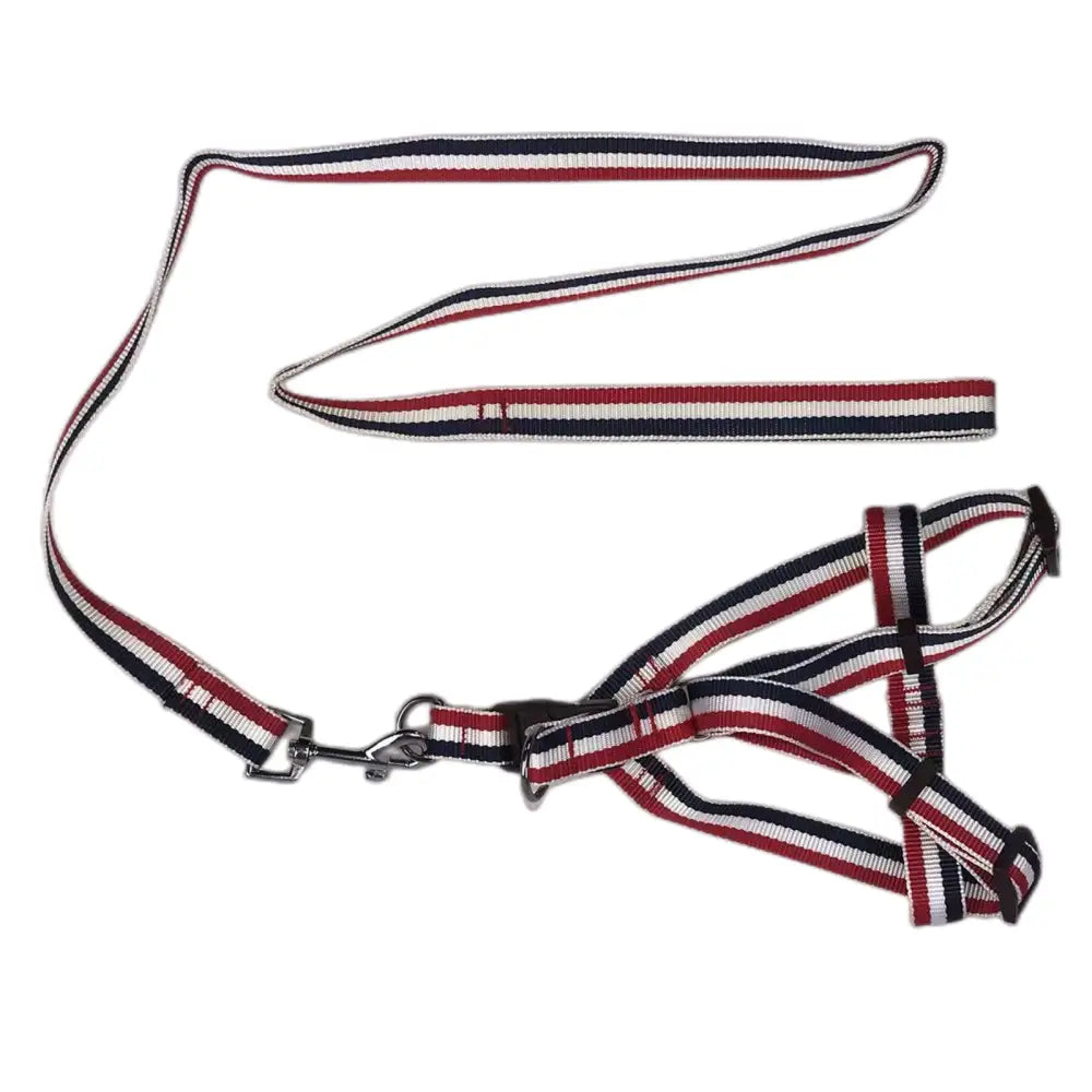 YES4PETS 2 X Large Pet Dog Harness Collar leash lead - Pet Care > Dog Supplies > Dog Collars Leads & Harnesses