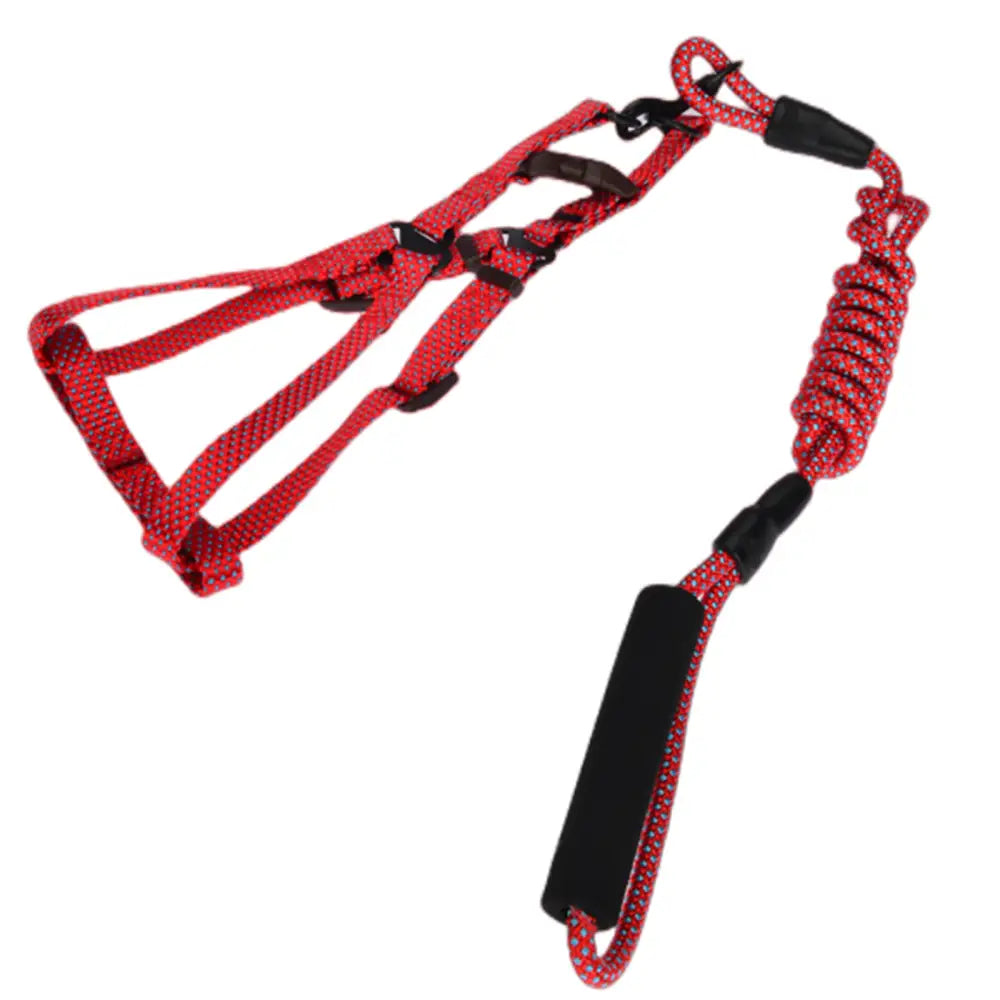 YES4PETS 2 X Medium Pet Dog Cat Puppy Kitten Rabbit Dog Harness Collar leash lead 3 Color - Pet Care > Dog Supplies >