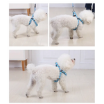 YES4PETS 2 X Medium Pet Dog Cat Puppy Kitten Rabbit Dog Harness Collar leash lead 5 Color - Pet Care > Dog Supplies >