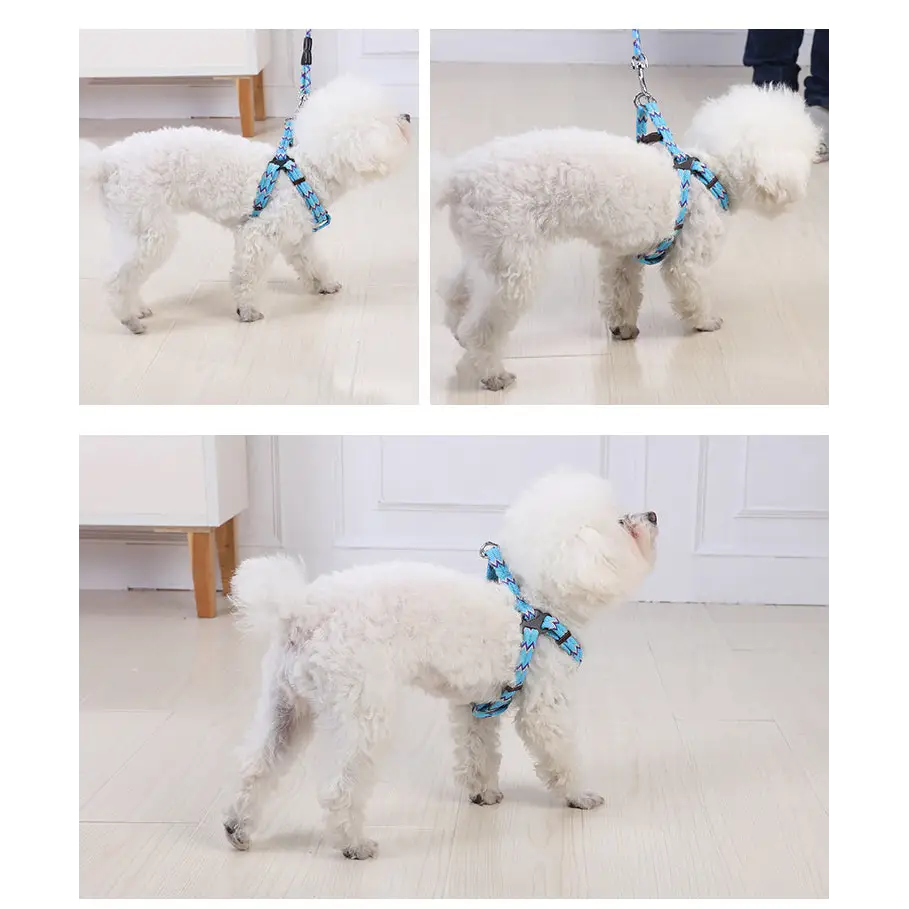 YES4PETS 2 X Medium Pet Dog Cat Puppy Kitten Rabbit Dog Harness Collar leash lead 5 Color - Pet Care > Dog Supplies >