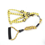 YES4PETS 2 X Medium Pet Dog Cat Puppy Kitten Rabbit Dog Harness Collar leash lead 5 Color - Pet Care > Dog Supplies >