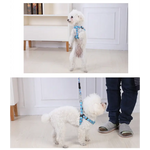 YES4PETS 2 X Medium Pet Dog Cat Puppy Kitten Rabbit Dog Harness Collar leash lead 5 Color - Pet Care > Dog Supplies >