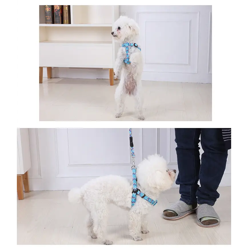YES4PETS 2 X Medium Pet Dog Cat Puppy Kitten Rabbit Dog Harness Collar leash lead 5 Color - Pet Care > Dog Supplies >