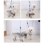 YES4PETS 2 X Medium Pet Dog Cat Puppy Kitten Rabbit Dog Harness Collar leash lead 3 Color - Pet Care > Dog Supplies >