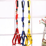 YES4PETS 2 X Medium Pet Dog Puppy Dog Harness Collar leash lead - Pet Care > Dog Supplies > Dog Collars Leads &