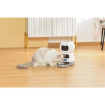 YES4PETS 3.5L Visible Automatic Digital Pet Dog Cat Feeder Food Bowl Dispenser - Pet Care > Dog Supplies > Dog Bowls