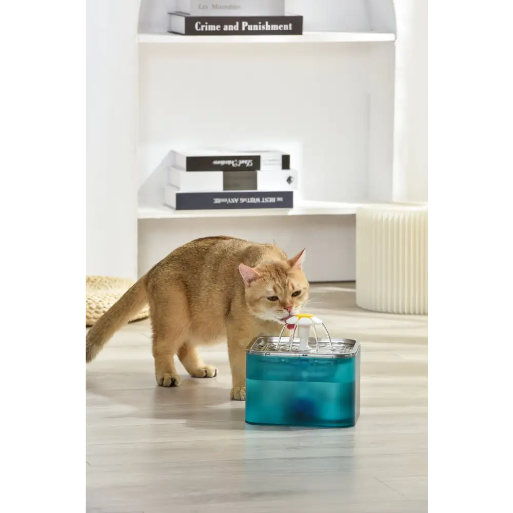 YES4PETS 3L Automatic Electric Pet Water Fountain Dog Cat Stainless Steel Feeder Bowl Dispenser Green - Pet Care > Dog