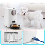 YES4PETS 4.5L Visible Automatic Digital Pet Dog Cat Feeder Food Bowl Dispenser - Pet Care > Dog Supplies > Dog Bowls