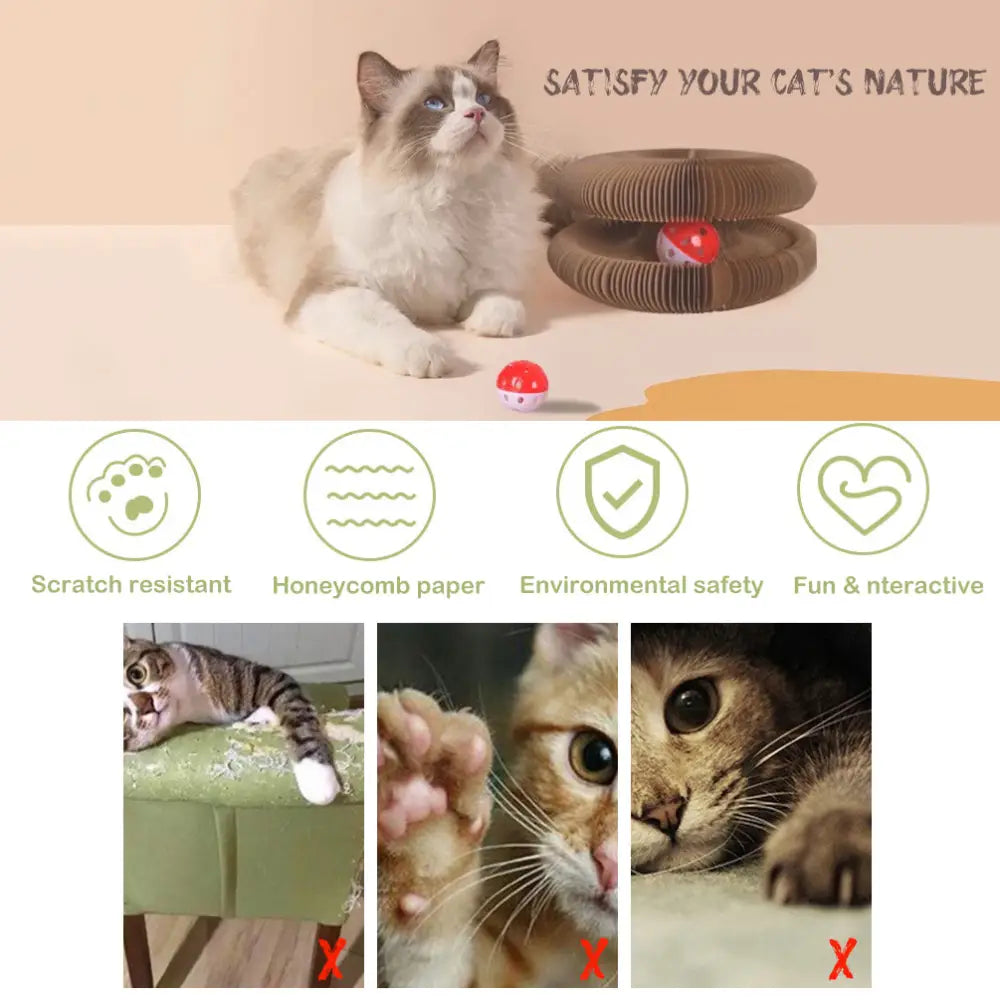 YES4PETS 4 x Small Magic Organ Cat Kitten Scratching Board Toy Play Best Scratcher - Pet Care > Cat Supplies > Cat