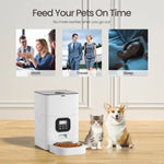 YES4PETS 6L Automatic Digital Pet Dog Cat Feeder Food Bowl Dispenser - Pet Care > Dog Supplies > Dog Bowls Feeders &