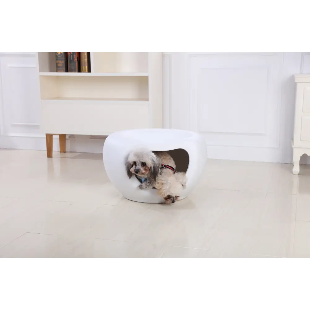 YES4PETS Cat Kitten Bed Cave Small Dog House Plastic Pet Pod Bedding Igloo White - Pet Care > Cat Supplies > Cat