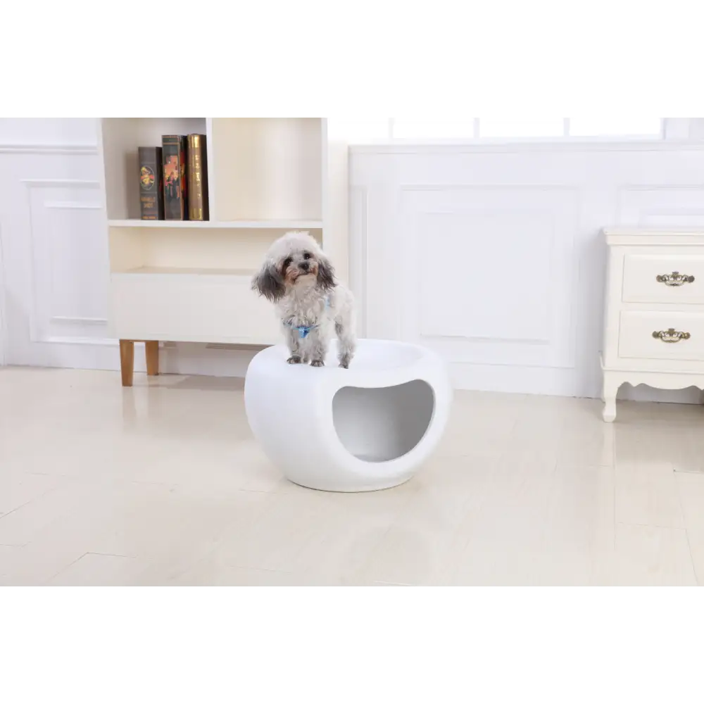 YES4PETS Cat Kitten Bed Cave Small Dog House Plastic Pet Pod Bedding Igloo White - Pet Care > Cat Supplies > Cat