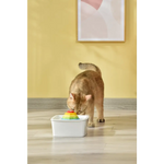 YES4PETS Ceramic Electric Pet Water Fountain Dog Cat Water Feeder Bowl Dispenser - Pet Care > Dog Supplies > Dog Bowls