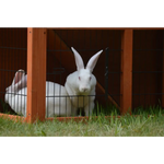 YES4PETS Double Storey Rabbit Hutch Guinea Pig Cage Ferret cage W Pull Out Tray - Pet Care > Coops & Hutches > Small