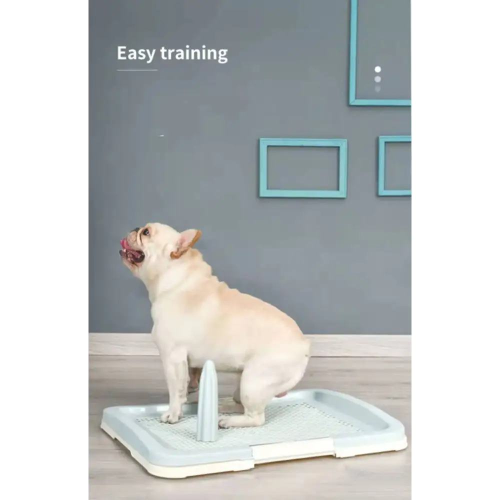 YES4PETS Medium Portable Dog Potty Training Tray Pet Puppy Toilet Trays Loo Pad Mat Blue - Pet Care > Dog Supplies >