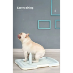 YES4PETS Medium Portable Dog Potty Training Tray Pet Puppy Toilet Trays Loo Pad Mat Blue - Pet Care > Dog Supplies >