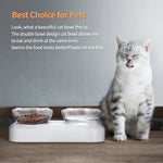 YES4PETS Pet Bowl Water Bowls Portable Anti Slip Skid Feeder Dog Rabbit Cat - Pet Care > Dog Supplies > Dog Bowls