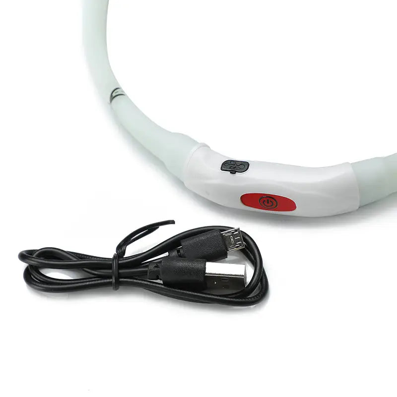 YES4PETS Small 40CM LED Dog Collar USB Rechargeable Night Glow Flashing Light Up Safety Pet Collars - Home & Garden >