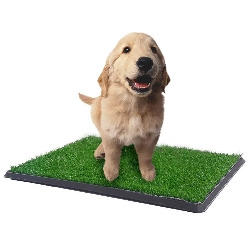 YES4PETS XL Indoor Dog Puppy Toilet Grass Training Mat Loo Pad Potty W 2 Grass - Pet Care > Dog Supplies > Dog Training