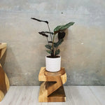 Z Shape 25cm Plant Stand/Stool/Side Table/Corner Table Raintree Wood - Home & Garden > Decor