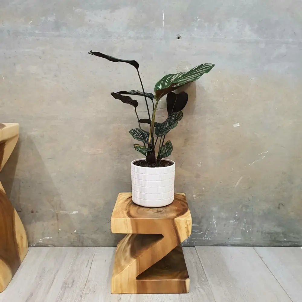 Z Shape 25cm Plant Stand/Stool/Side Table/Corner Table Raintree Wood - Home & Garden > Decor