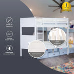 Zinnia Single Bunk Bed Frame Solid Rubber Timber Wood Loft Furniture - White - Furniture > Bedroom > Beds & Bed Frames